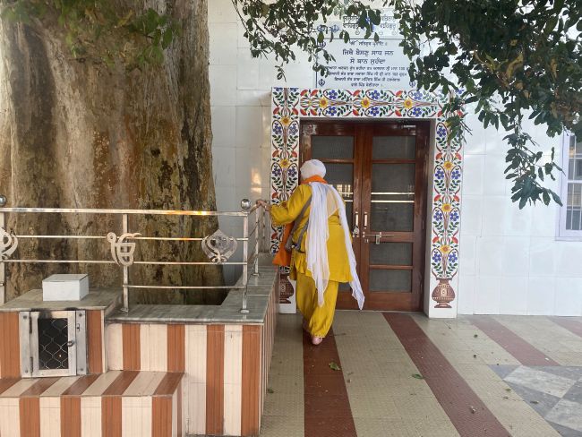 Gurdwara Arjan Rukh Akal Dayal Yatra 2025